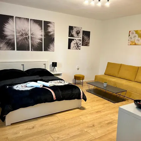 Dandelion * Bratislava