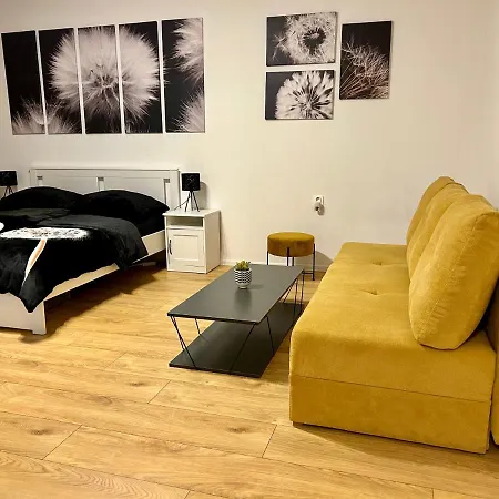 Apartamento Dandelion *