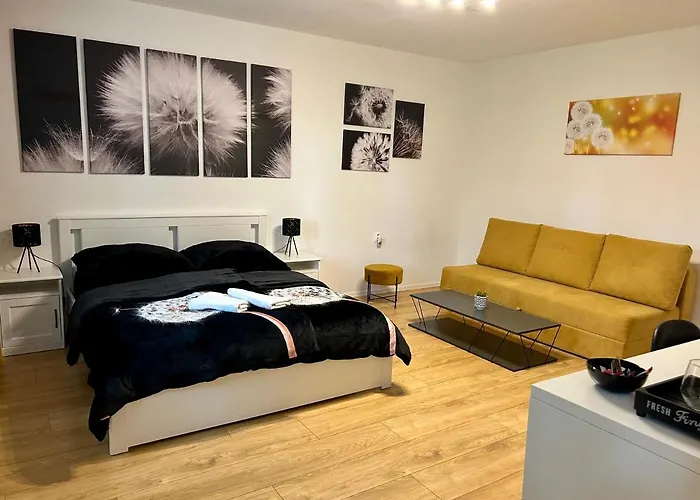 Dandelion * Μπρατισλάβα